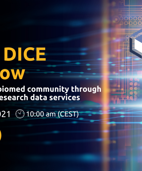 Second DICE Roadshow Webinar OCT 2021