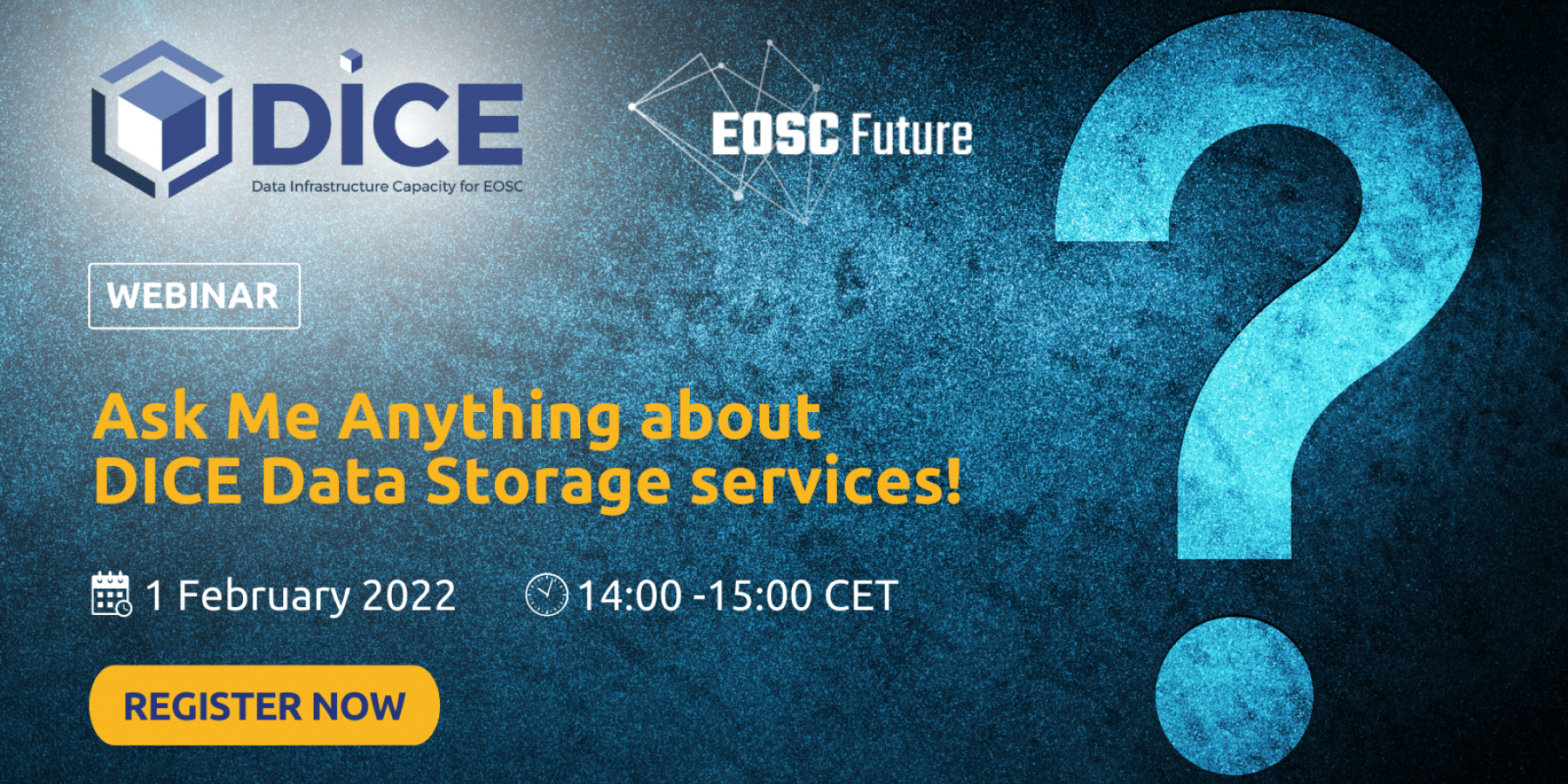 Ask Me Anything about DICE Data Storage services!